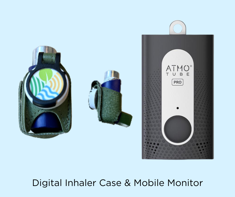 Mobile Monitor copy 2